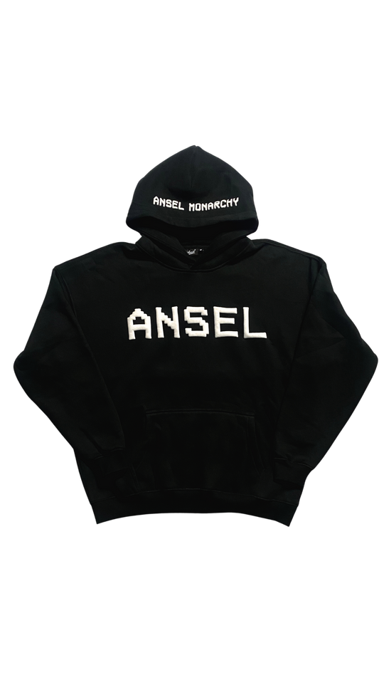 ANSEL ASSET HOODIE (BLACK)